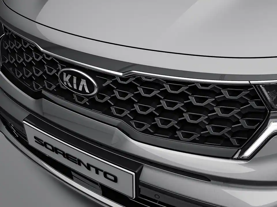 Radiator grill (Black paint)