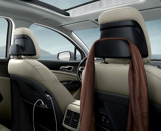 Headrest hanger / USB ports on seatbacks